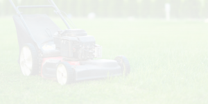 lawn care